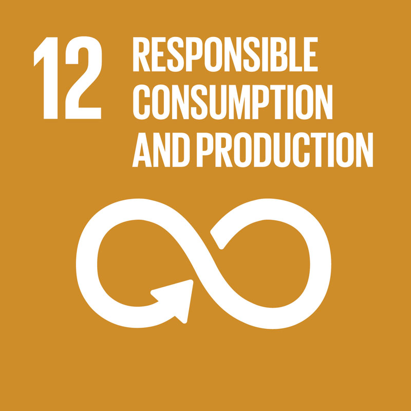 SDG 12 – Responsible Consumption And Production – Tourism for SDGs