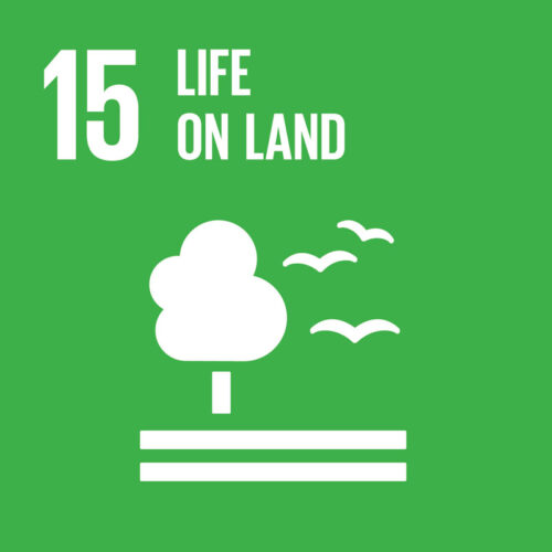 SDG 15 – Life On Land – Tourism for SDGs